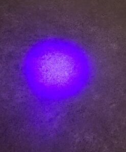 UV Flashlight Black Light, LOFTEK 51 LED 395 nm Blacklight Flashlite Pet Urine Detector for Dog Urine, Dry Stains, Bed Bug, Scorpion, Matching with Pet Odor Eliminator 29 71 4AOUuTKL