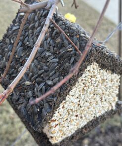 Edible Birdhouses | Reseedable Wooden Birdhouse Covered w/Birdseed | Squirrel Proof Bird Feeder | Made in The USA (SD) Short Dark Roof 30 71 4NWH89kL