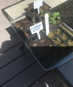 9GreenBox - Seedling Starter Trays, 144 Cells: (24 Trays; 6-Cells Per Tray), Plus 5 Plant Labels 20 71 6T32EfL