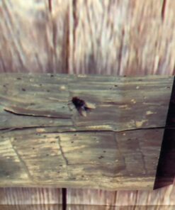 Outhouse Door Cover Party Accessory (1 count) (1/Pkg) 1 Outhouse 31 71 7Er9CE L