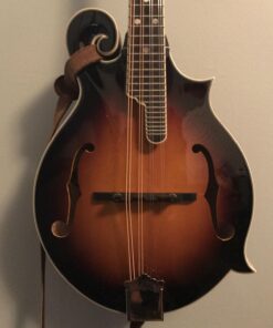 D'Addario Mandolin Strings - Mandolin Strings - Phosphor Bronze - For 8 String Mandolin - Rich, Full Tonal Spectrum - EJ74 - Medium, 11-40 1-Pack 14 71 CgIhxp3L