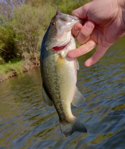 MarineNow Portable Folding Anchor Buoy Kit Canoe Kayak Raft Boat Sailboat Fishing Jet Ski 7 71 ChtAiRFL