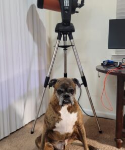 Celestron 18778 AC Adapter (Black) 11 71 Dg2bpQXL