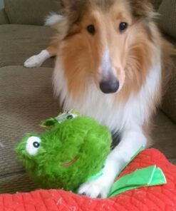 VETRISCIENCE Laboratories Vetri Mega Probiotic and Prebiotic for Dogs and Cats, 120 Capsules - Digestive Relief - Easy to Give Capsules - GI Support 35 71 FhPcN2FL