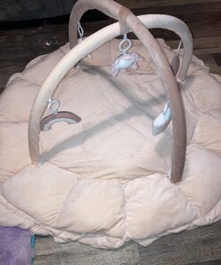 5-in-1 Thick & Plush Play Gym, Activity Gym & Play Mat, Cat Bed, Dog Bed, Convertible Stage-Based Developmental from Baby to Toddler, Ball Pit, Soft Plush Pet Bed, Pet Cushion, Balls are not Included Grey 27 71 FzRcKIL