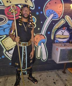 California Costumes Egyptian Staff Costume Accessory One Size Gold 19 71 H007bf5L