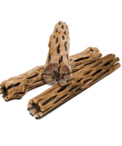 SunGrow Cholla Wood for Shrimps, Dried Husk of Cholla Cactus, Aquarium or Home Decor for Hermit Crabs, Pleco, 3 Pieces per Pack (3 Pieces, 6 inches) 23 71 HA6pcStL