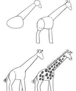 How to Draw Animals: Step-by-Step Drawings! (Dover How to Draw) 20 71 Hljfg 6L