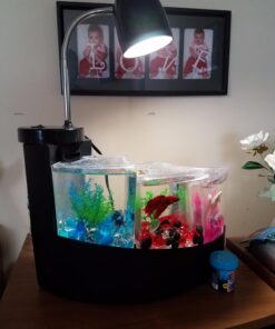 Aqueon Betta Falls 3 Section Aquarium Fish Tank With QuietFlow Power Filtration, Black 50 71 ImSzc9ML