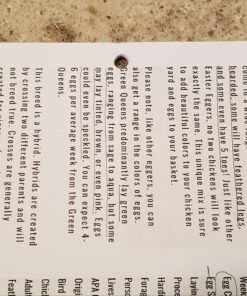 Bostitch Office EZ Squeeze Heavy Duty 3 Hole Punch, 40-Sheet Capacity, Use Less Force, Perfect for Home Office School Supplies, Sleek Design, Silver 1 39 71 J3E2Tm8L