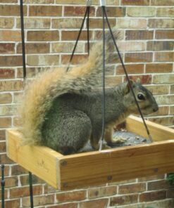 Wild Wings WWCF23 Cedar Tray Bird Feeder 39 71 JhRawJfL