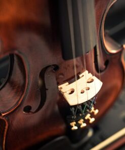 Mendini By Cecilio Violin - MV500+92D - Size 4/4 (Full Size), Black Solid Wood - Flamed, 1-Piece Violins w/Case, Tuner, Shoulder Rest, Bow, Rosin, Bridge & Strings - Adult, Kids Size: 4/4 (Full Size) 78 71 M7FF4IcL