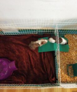 Kaytee Gravity Bin Feeder With Bracket Assorted 41 71 MCRItcCL