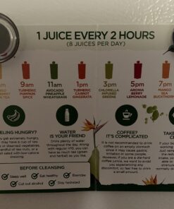 LEMONKIND 3-Day CORE Nutrient-Dense Cleanse: Detox, Boost Energy, Manage Weight, Break Bad Habits - Plant-Based, Non-GMO, Gluten-Free, Pressed, No Concentrates - 24 Unique Flavors. Core Cleanse (3 Day) 60 71 Nhu9TcL