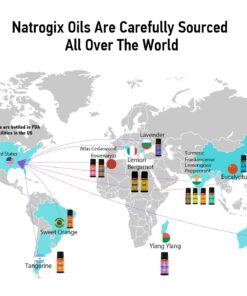 Essential Oils Set, Natrogix Fragrance Oil 100% Pure Essential Oils for Humidifiers, Diffuser, Aromatherapy, Massage, Candle and Soap Making, 14x10ML(0.33fl.oz), Made in USA 0.33 Fl Oz (Pack of 14) 10 71 Nnq2QfiL