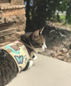 JETech Case for iPhone 8 Plus and iPhone 7 Plus 5.5-Inch, Non-Yellowing Shockproof Phone Bumper Cover, Anti-Scratch Clear Back (Clear) 42 71 OToMReoL