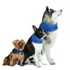 Novel Brands K9 Chill Dog Cooling Collar (Small/Medium 8"- 20") Small/Medium 8"- 20" 56 71 P1RN9SwL
