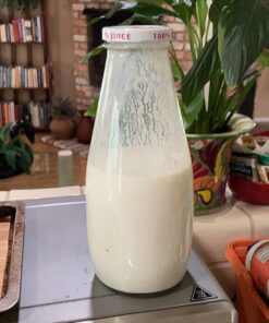 Cultures for Health Kefir Starter Culture | 4 Packets Freeze Dried Starter Powder | Make Kefir with Milk, Water, or Juice | Re-Culture Kefir Probiotic Drinks 2-7x Each | Cultures in Less Than a Day Coconut 0.20 Ounce (Pack of 1) 29 71 PYnssGmL