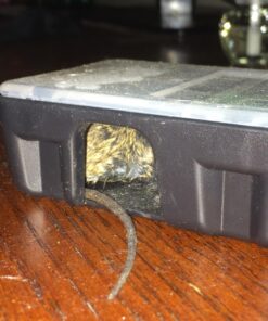 Tomcat Mouse Killer II, 4-Pack (Kid Resistant Disposable Mouse Bait Station) 8 71 QU0WIlAL