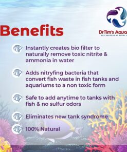 DrTim's Aquatics Reef One & Only Nitrifying Bacteria – For Reef, Nano and Seahorse Aquaria, New Fish Tanks, Aquariums, Disease Treatment – H20 Pure Fish Tank Cleaner – Removes Toxins – 4 Oz. (401) One & Only REEF-PURE 11 71 Qo3j4aRL 1