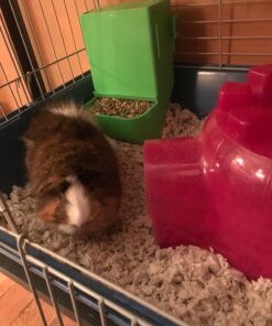 Kaytee Gravity Bin Feeder With Bracket Assorted 38 71 RdJpPIsL