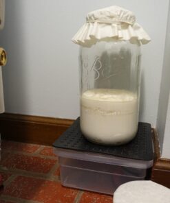 Fusion Teas 1 TBSP Organic Milk Kefir Grains and ebook “Milk Kefir Unleashed by Thomas Egbert” - Fresh Live Active Probiotic Starter Cultures 51 71 Tk42gkWL