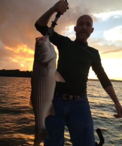 Yoshikawa Baitfeeder Spinning Reel Fishing 5.5:1 11 High Power Stainless Ball Bearings 30Lb Drag Right Left Hand Saltwater Freshwater Reversible Front Rear Drag Live Liner 3000-6000 5000 21 71 U uNcVpL