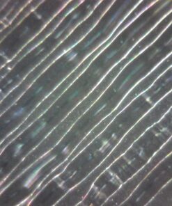 Opti-Tekscope Digital USB Microscope Camera- Advanced CMOS Sensor, True High Definition Macro 200x Zoom Imaging –1600 x 1200, Video, Flexible Acrylic Stand, 8 LED, Windows Mac Linux 30 71 XO4ydgCL