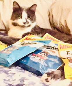 TEMPTATIONS Classic Crunchy and Soft Cat Treats Mega Pack, (5) 6.3 oz. Pouches 26 71 YoL4e7DL
