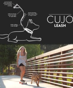 EzyDog Cujo Shock Absorbing Bungee Dog Leash - Best Dog Rope Training Lead - Reflective Trim for Nighttime Safety - Padded Pull Handle for Superior Comfort and Control (40", Black) 40-Inch 13 71 ZMGH4KuL