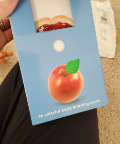 My First Touch and Feel Language Picture Cards: First Words (My First Board Books) 33 71 ZMabmYL 1