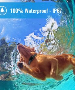 Petrainer Training Collar for Dogs - Waterproof Rechargeable Dog Training E-Collar with 3 Safe Correction Remote Training Modes, Static, Vibration, Beep for Dogs Small, Medium, Large 27 71 aAznNd9L