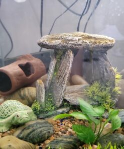 Alternative view of Zoo Med Laboratories AZMFA50 Sinking Ceramic Betta Log 4.25 inche