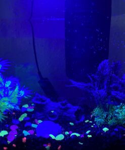 GloFish Aquarium Fish Tank Kits, Includes Fish Tank Decorations and LED Lighting, Tetra Filter and Water Conditioner 5-gallon crescent kit 31 71 bzuAwIL
