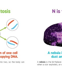 ABCs of Science: The Essential ABC Board Book of First STEM Words from the #1 Science Author for Kids (Science Gifts for Kids) (Baby University) 24 71 dHRiR9hL