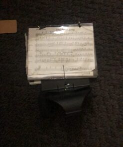 DEG Flutist Friend Marching Lyre 7 71 dpbdKWEL