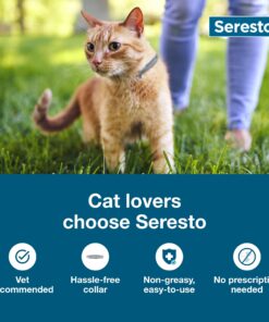 Seresto Cat Vet-Recommended Flea & Tick Treatment & Prevention Collar for Cats | 8 Months Protection 1 Pack Cat Only 24 71 gCZdUl7L