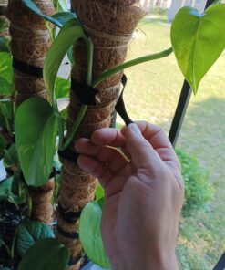 VELCRO Brand ONE-WRAP Cable Ties | 25Pk | 8 x 1/2" Black Cord Organization Straps | Thin Pre-Cut Design | Wire Management for Organizing Home, Office and Data Centers 33 71 giPaP1L