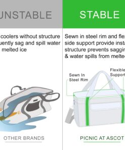 Picnic at Ascot 42 Can Capacity Semi Rigid Collapsible Leakproof Cooler- Designed & Quality Approved in the USA Pack of 1 Black 14 71 kTbUBIYL