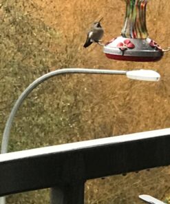 EZNectar Happy Hummers! Clear Ready-To-Use Hummingbird Nectar, 33.8 oz 24 71 ly2PEmKL