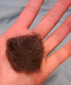 KONG - Cat ZoomGroom Purple 43 71 nNn9Xh9L