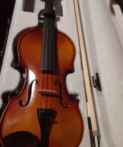 SKY 4/4 Full Size SKYVN201 Solid Maple Wood Violin with High Quality Lightweight Case, Brazilwood Bow, String, Rosin and Mute 45 71 or709GHL