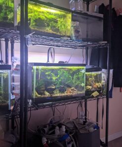 Amazon Basics 5-Shelf Adjustable, Heavy Duty Storage Shelving Unit (350 lbs loading capacity per shelf), Steel Organizer Wire Rack, Black, 36" L x 14" W x 72" H No Wheels 47 71 p49WIcvL