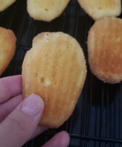 USA Pan Bakeware Madeleine Pan, 16-Well, Aluminized Steel 40 71 plwVAQpL