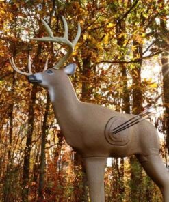 Shooter Buck 3D Deer Archery Target 3-D Buck Target 21 71 r8AcL4UL