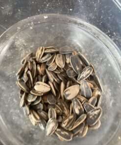 DAVID Seeds Original Salted and Roasted Jumbo Sunflower Seeds, Keto Friendly Snack, 5.25 OZ Bags, 12 Pack 5.25 Ounce (Pack of 12) 27 71 rT4HjacL