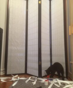 Sticky Paws Pioneer Pet Roll (32.8 feet) Roll (32.8 ft) 39 71 s9rSNIoL