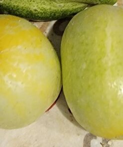 Lemon Cucumber Seeds for Planting,125+ Heirloom Seeds Per Packet, (Isla's Garden Seeds), Non GMO Seeds, Botanical Name: Cucumis sativus 'Lemon', Great Gift for Home Garden 22 71 uqKG9r3L