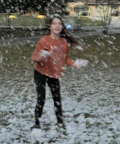 1byone 650W Snow Machine Wired Remote Control Great Machine for Kids, Parties, Parades 41 71 vduv1DoL