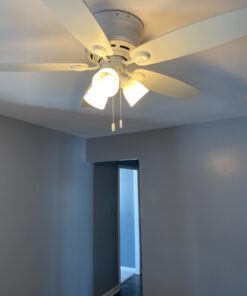 Bioluz LED 40 Watt LED Light Bulbs 2700K Warm White 6 Watts = 40W Non-Dimmable A19 LED Light Bulbs 6 Pack 6 Count (Pack of 1) 30 71 vpYaNriL